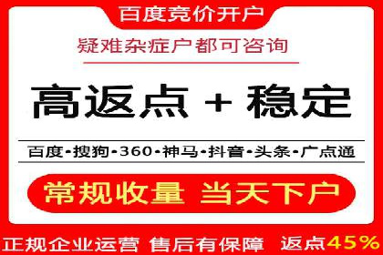 竞价托管SEM的创意与实践：多行业案例集